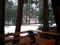 Snowing at the cabin