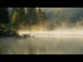 Beautiful Relaxing Music - Stop Overthinking, Stress Relief Music, Sleep Music, Calming Music