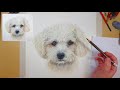 WHITE fur on WHITE paper! // In depth step by step tutorial!