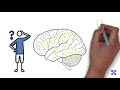 Brain Health Series - What are Cognitive Functions?