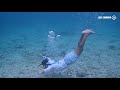 SNORKEL para principiantes 🔴/ Como aprender a Snorkelear / Cozumel