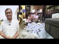 white german shepherd | Pet Market Kolkata | Dog Puppy Price Update | german shepherd | GSD