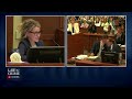 Forensic Psychologist Dr. Shannon Curry Cross-Examined (Johnny Depp v Amber Heard Trial)