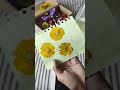 Pressed Dried Flower 🌼 in a Minute