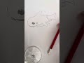 How to draw a shark