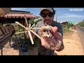 PROVANDO COMIDAS DE BEIRA DE ESTRADA NO CAMBOJA 🇰🇭