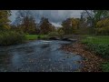 Sleep Deeply With Rain - Relaxing Music From Nature - Rain On The River Heals