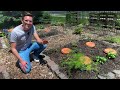 CHEAP and EASY DIY Garden Ollas