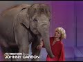 Betty White’s Elephant Loves Johnny | Carson Tonight Show