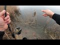 Perch Fishing with Grass Shrimp