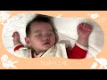 黃湘怡 X 遊唱寶貝 - 一首搖籃曲《遊唱動物園》 / Stella x Bossa Baby -A Lullaby for My Little One 