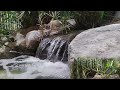 Sonido Blanco de Agua Fluyendo | Sonido de Cascada de Agua Real  flullendo para Dormir Relajado