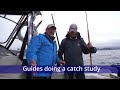 Could Salmon Fishing in BC become unavailable for Sports fishermen?