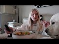 VLOGMAS day 15: back to work (ended in a snow day), lazy soup recipe