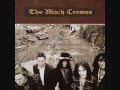 The Black Crowes - Words You Throw Away