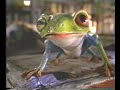 Budweiser Frogs (1995)