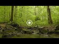 Mindfulness Meditation - 30 minutes  (Yongey Mingyur Rinpoche recording - edited)