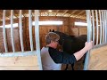 A day in the life of a horse trainer.