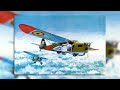 Dewoitine D.37X Series - Aircraft Overview