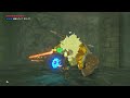 Golden Lynel + 9 Silver Enemies | Testrun of BotW All-stars Challenge at the Coliseum: Beginning