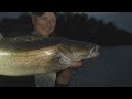 Mit Köderfisch am See | Ansitzangeln  auf Zander