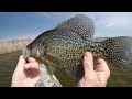 Fishing the $5 Crappie Kit From Walmart!