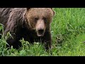The Tatra Mountains - Wild at Heart | Full Documentary Episode 1