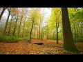 Lead Me Lord : Piano Instrumental Music With Scriptures & Autumn Scene 🍁CHRISTIAN piano