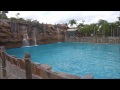 Surf Pool, Typhoon Lagoon, Walt Disney World, (HD) - The Wave