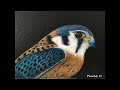 Birds of Prey by Phoebe