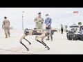 Here's Comes the US Army's New Super Robo-Dog With Sniper Rifle