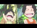 One Piece AMV | Chasing The Sun