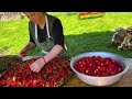 150 Minutes of Cooking in the Village! Fresh Harvest and Delicious Recipes