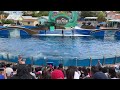[June 2022] Dolphin Adventures Full Show - Seaworld San Diego