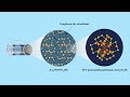 Metal Nanocluster-Based Stable Lithium–Sulfur Batteries