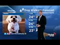 Weather reporter's hungry dog interrupts live TV report looking for treats