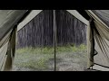 Fall Into Sleep In A Tent On Rainy Night | Heavy Rain On Tent & Powerful Thunder Sounds In Forest