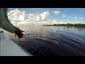 Mosquito Lagoon Guides Day Off
