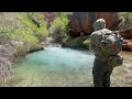 EPIC Fly Fishing: Arizona’s Most Remote Trout Stream