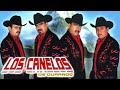Los Canelos De Durango - 20 Corridos De Altura (Album Completo)