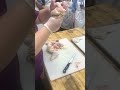 Chicken Butchering Tutorial