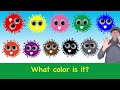 What Color Is it? Song | Learn 11 Colors | Learn English Kids