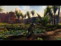 GW2PoF raptor is amazing