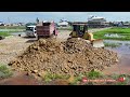 Perfectly Komatsu DR51PX Dozer push stones & 5 ton Dump Trucks dumping stones filling Land in Fields