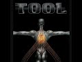 TOOL (No quarter)