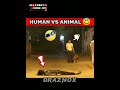 POV:-HUMAN VS ANIMAL 👊👻|| hanuman | #hanumanji #bajrangbali #ghost #prank #viral #video