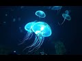 Underwater Serenity: Meditative Sounds with Moving Jellyfish