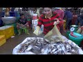 Alive Fish, Shrimp, Blue Crabs, Frog, Corn, Sour Fruits, & More - Cambodian Lively Market Food