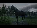 Top 5 Best, Fastest & MOST Rare Horses - RDR 2
