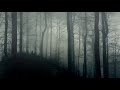 Dark Ambience - Horror Background Music 10 Hours